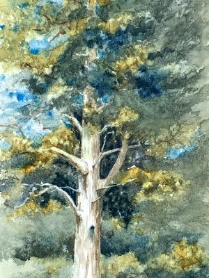 Tree at St Martin's Tree at St Martin's