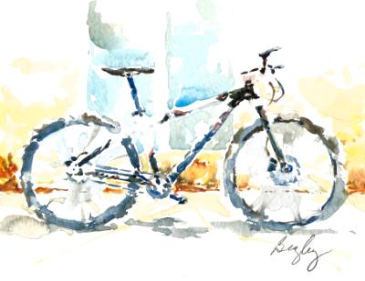 Superfly Mountain Bike
