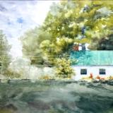 Queeny Park Greenhouse 9.3.23