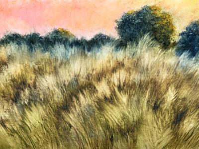 Millennium Park 9.8.25 Millennium Park 9.8.25