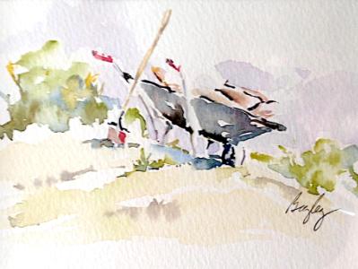 Spring Planting Spring Planting