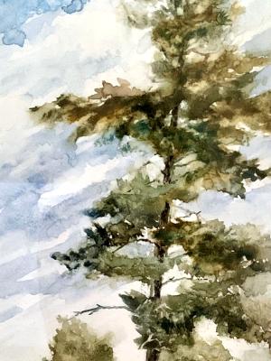 Tree at St George Cemetery 6.11.25 Tree at St George Cemetery 6.11.25