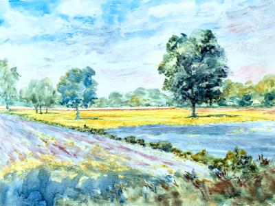 The Big Field, Ste Genevieve MO The Big Field, Ste Genevieve MO