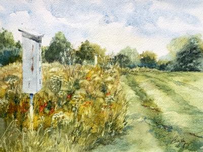 Butterfly Houses-Queeny Park 9.10.22 Butterfly Houses-Queeny Park 9.10.22