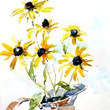 Black-eyed Susans