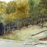 Lake Sherwood 4.27.25