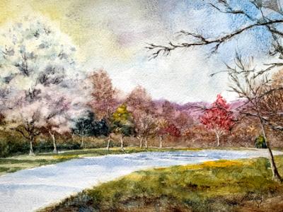 Bee Tree Park 3.24.23 Bee Tree Park 3.24.23