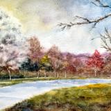 Bee Tree Park 3.24.23