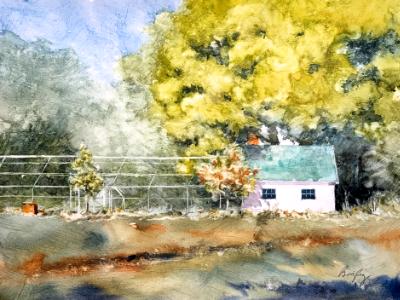 Queeny Park Greenhouse 9.7.22 Queeny Park Greenhouse 9.7.22