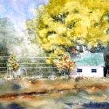 Queeny Park Greenhouse 9.7.22