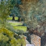 Dr Venable Park, Creve Coeur 7.6.24