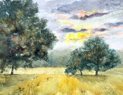 Sunrise & Trees Sunrise & Trees