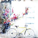 Bicycle and Red Roses