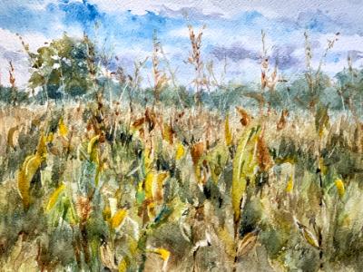 Big Field's Corn Big Field's Corn