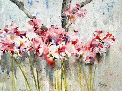 Amaryllis Belladonna Amaryllis Belladonna