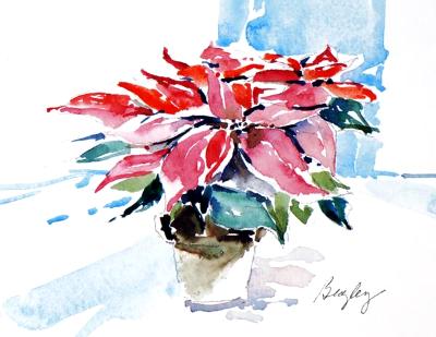 Poinsettia on Table