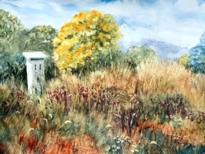 Butterfly House-Queeny Park 9.29.22 Butterfly House-Queeny Park 9.29.22