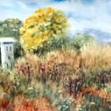 Butterfly House-Queeny Park 9.29.22