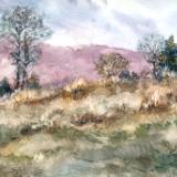 Queeny Park  3.28.22