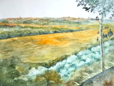 View from Montmajour - Arles, FR View from Montmajour - Arles, FR