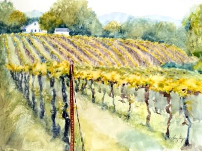 Vines on Jackson Street, Augusta MO Vines on Jackson Street, Augusta MO