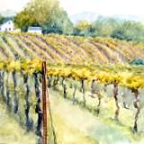 Vines on Jackson Street, Augusta MO