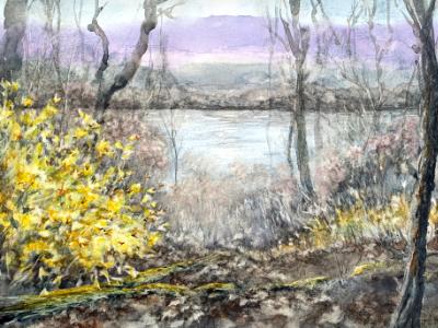 Mississippi River at Bee Tree Park Mississippi River at Bee Tree Park