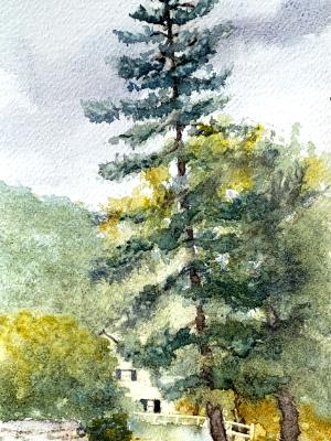 Old Farm Road, Augusta April 2025 Old Farm Road, Augusta April 2025