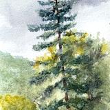 Old Farm Road, Augusta April 2025