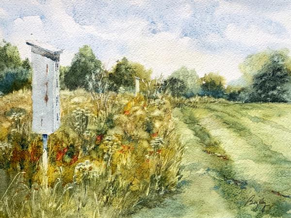 Watercolor painting of Butterfly houses in Queeny Park