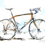 Orange Road Bike