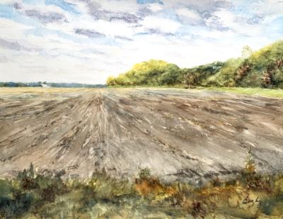 Planting, Augusta MO 4.23.23 Planting, Augusta MO 4.23.23