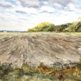 Planting, Augusta MO 4.23.23