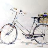 Market Bicycle with Eggplant