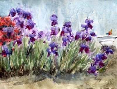 Diane's Irises 4.22.25 Diane's Irises 4.22.25