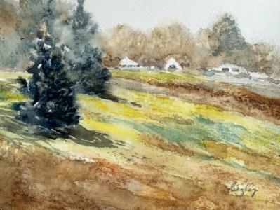 Queeny Park 3-12-24 Queeny Park 3-12-24