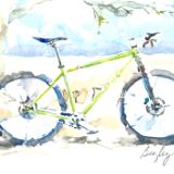 Niner Mountain Bike