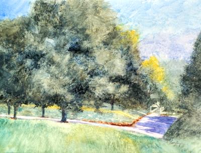 Seibert Park 9.27.25 Seibert Park 9.27.25