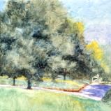 Seibert Park 9.27.25