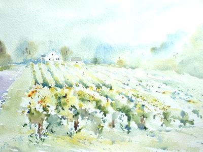 Morning Fog on the Vineyard
