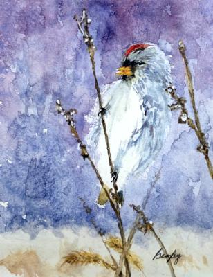 Bird on Branch 2024 Bird on Branch 2024