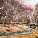 Castlewood State Park 1.19.23