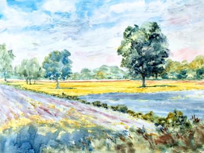 The Big Field, Ste Genevieve The Big Field, Ste Genevieve