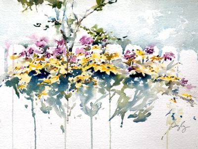 Our Backyard Our Backyard