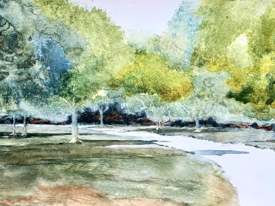 Path in Millennium Park 9.7.25 Path in Millennium Park 9.7.25