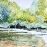 Path in Millennium Park 9.7.25