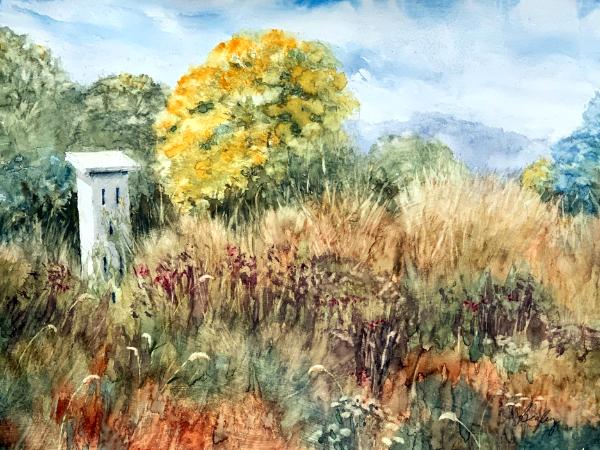 Watercolor painted en plein air in Queeny Park