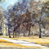 Path Beside the Meramec