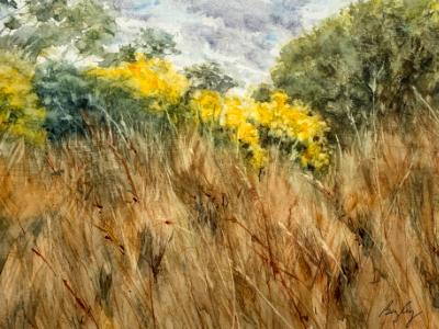 Queeny Park 10.7.22 Queeny Park 10.7.22